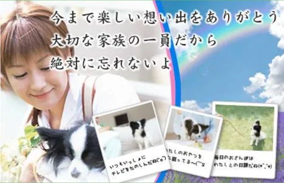 今まで楽しい想い出をありがとう 大切な家族の一員だから 絶対に忘れないよ